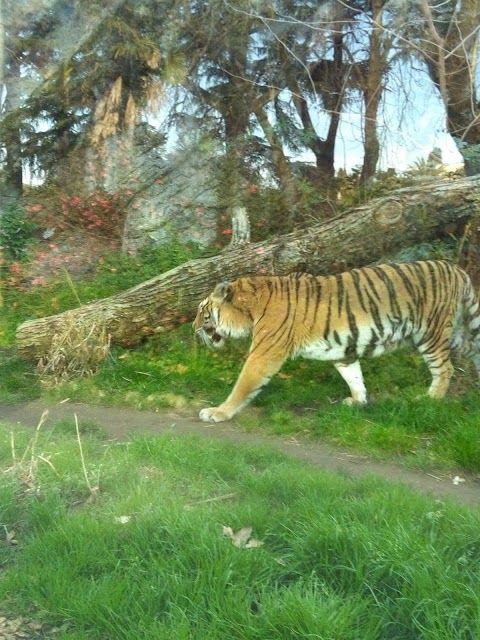 Parc zoologique Bioparco